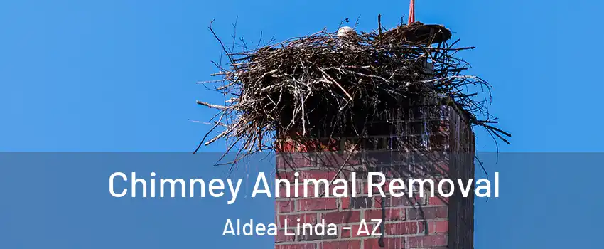 Chimney Animal Removal Aldea Linda - AZ