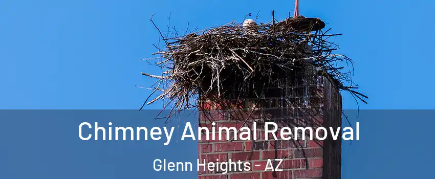 Chimney Animal Removal Glenn Heights - AZ