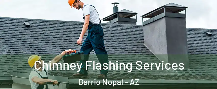 Chimney Flashing Services Barrio Nopal - AZ