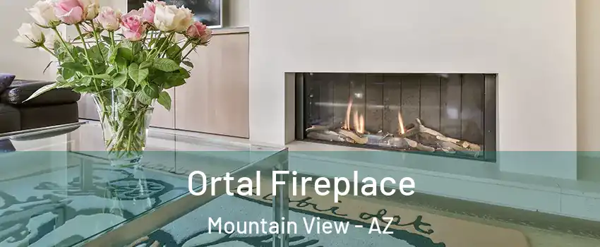 Ortal Fireplace Mountain View - AZ